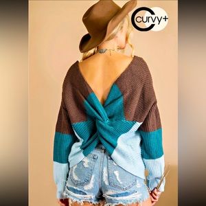 Plus Size Color Block With Twisted Back Detail Long Sleeved Sweater Knit Top